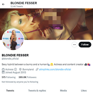 Blondie Fesser, Twitter Porn Accounts