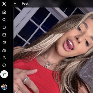 Abella Danger, Twitter Porno Hesapları