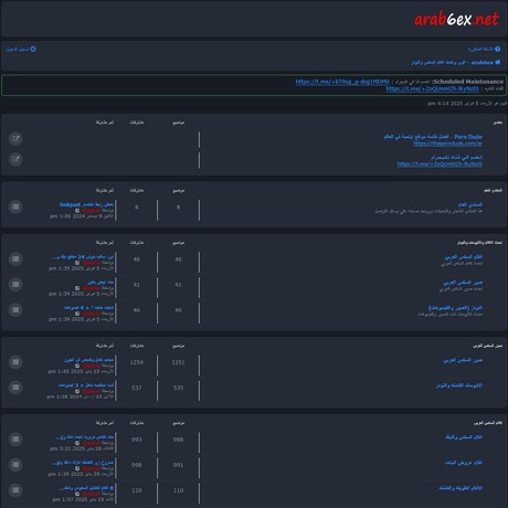 Arab6ex