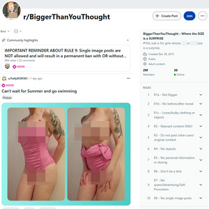 Reddit Bigger Than You Thought, Reddit NSFW List