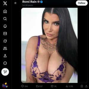 Romi Rain, Twitter Porn Accounts