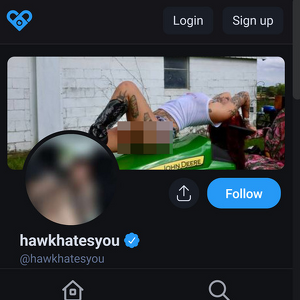 HawkHatesYou, Best Fansly Girls List