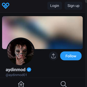 Aydin Mod, Best Fansly Girls List