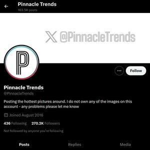 Pinnacle Trends, Twitter Porn Accounts
