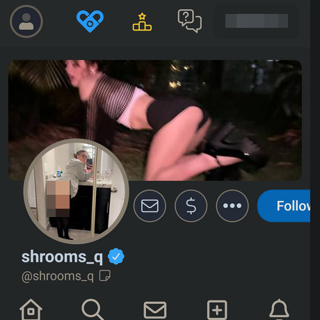Shrooms Q
