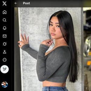JoyyMei, Twitter Porn Accounts