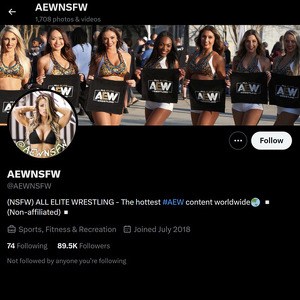 All Elite Wrestling, Twitter Porn Accounts