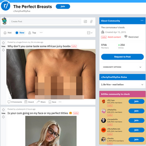 FortyFiveFiftyFive, Reddit NSFW List
