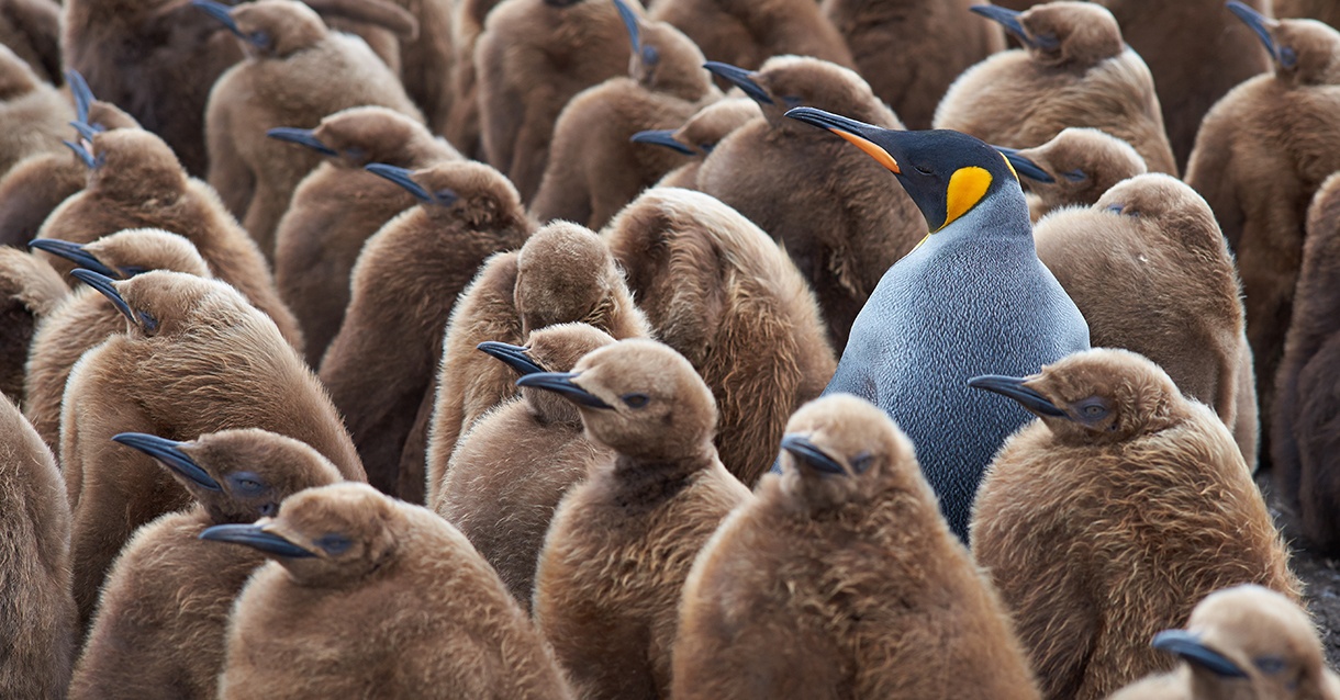 Stand out