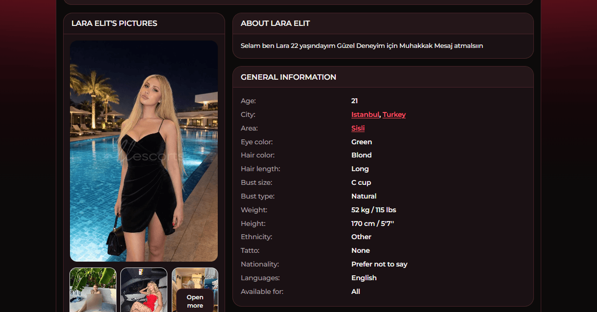 TPDBlog AllEscorts 3.1