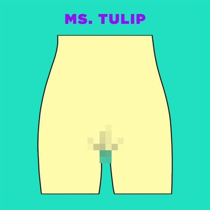 Vaginas3 blurred tmp